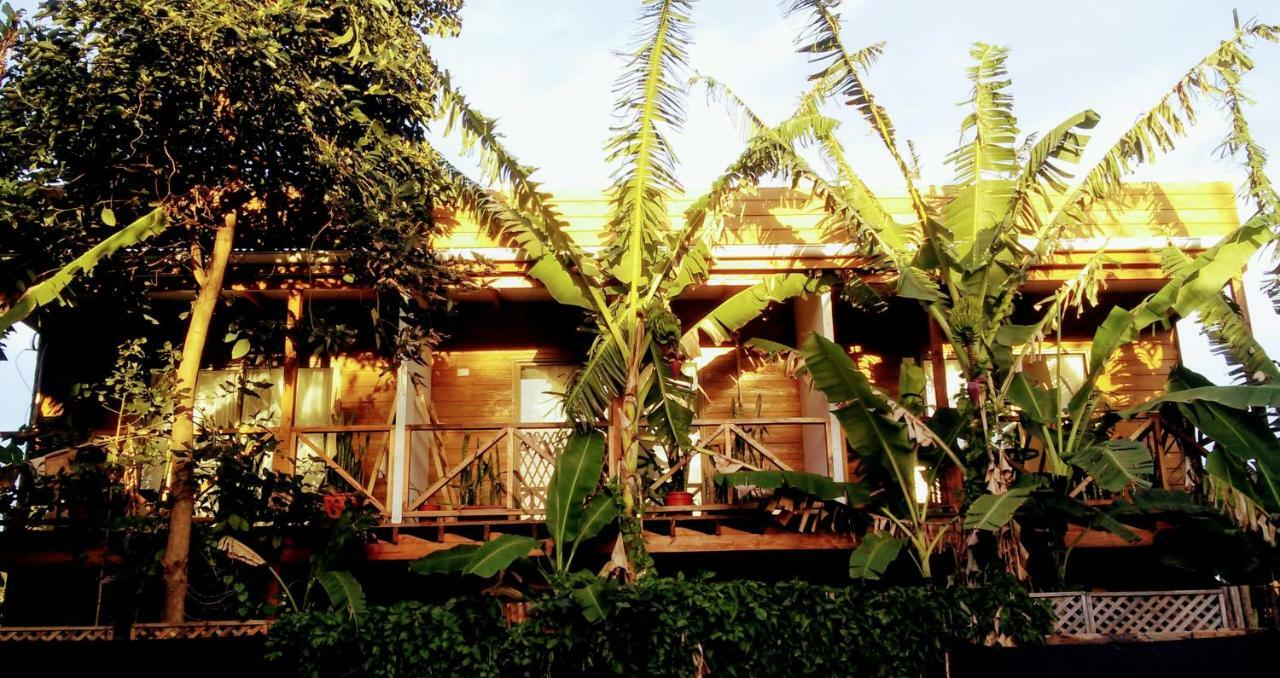 Te Maori Lodge *